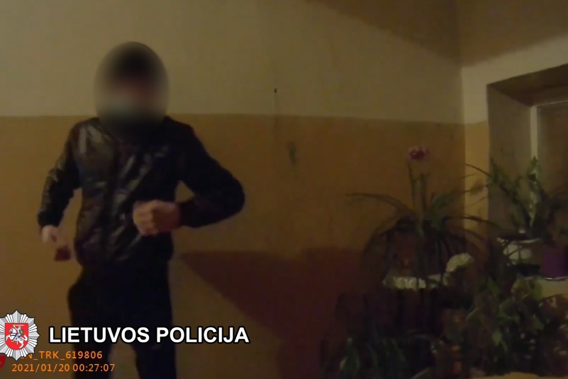 Iliustracija