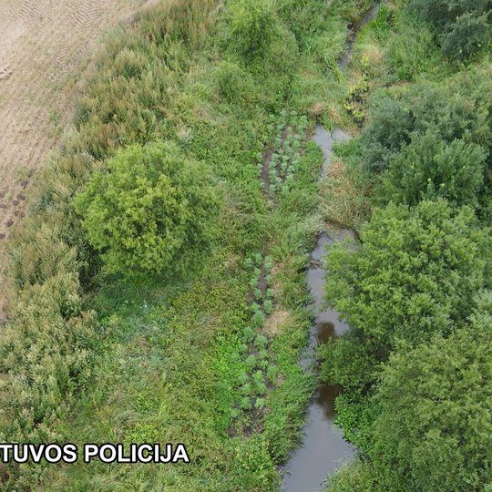 Iliustracija