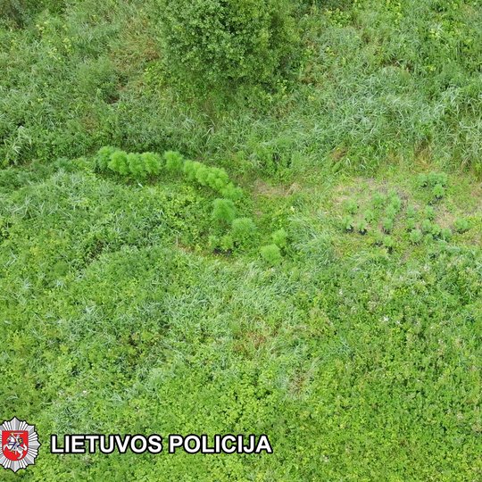 Iliustracija