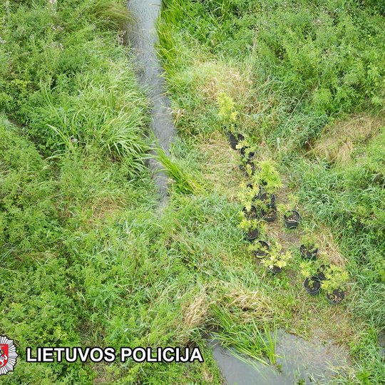 Iliustracija