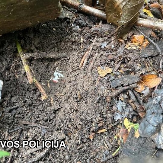 Iliustracija